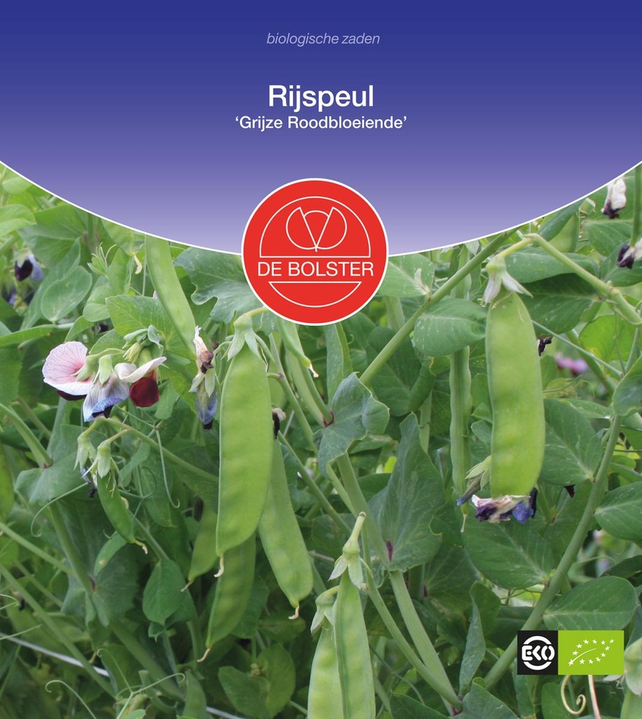 De Bolster Rijspeul 'Grijze Roodbloeiende'
