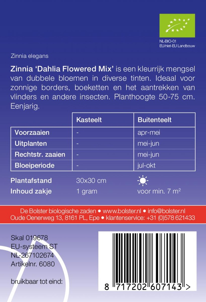 De Bolster Zinnia 'Dahlia Flowered Mix'