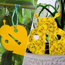 ROOTSUM Fixsum Decoratieve gele vangplaten rouwvliegjes - 10 stuks