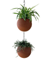 Globee Terracotta Inclusief ophangsysteem, ketting en binnenpot.