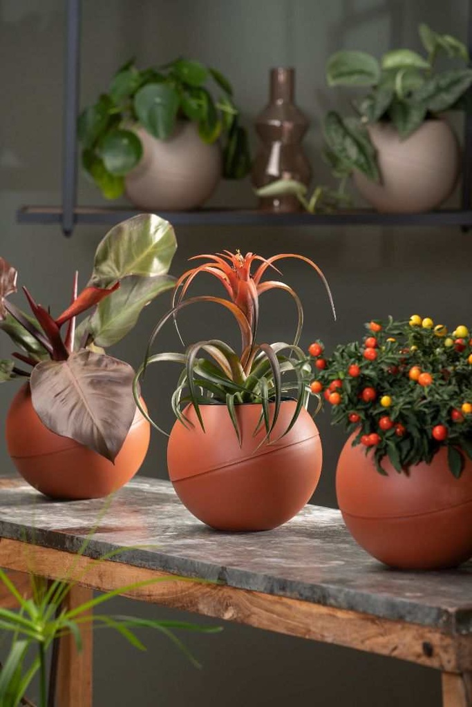 Globee Terracotta Inclusief ophangsysteem, ketting en binnenpot.