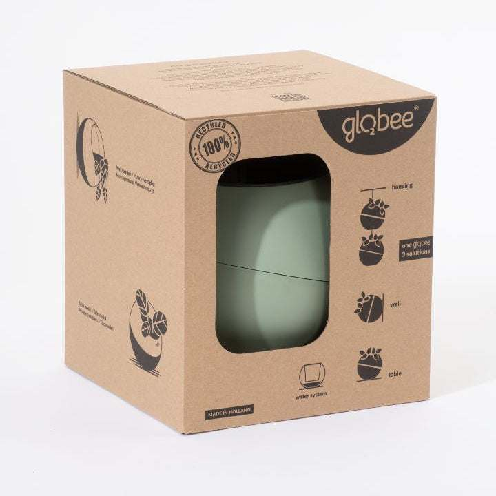 Globee in box Olive