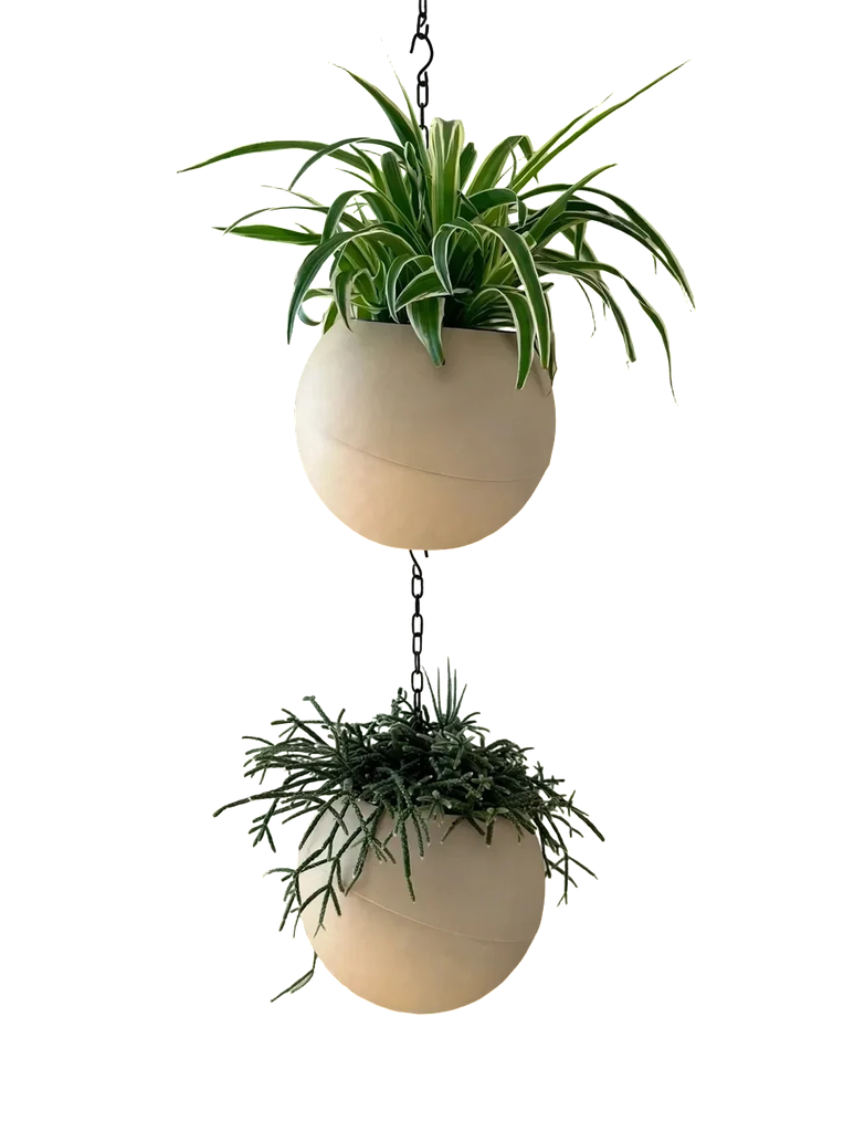 Globee Sand