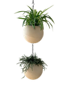 Globee Sand