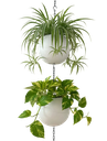 Globee Wit