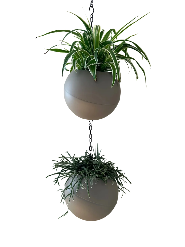 Globee Taupe