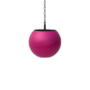 Globee Pink