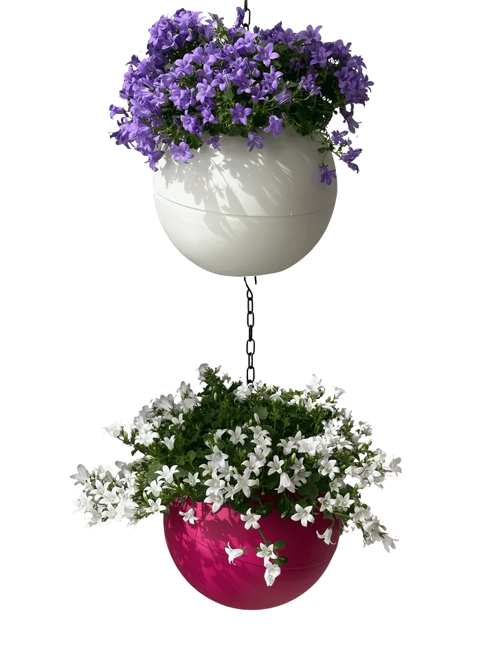 Globee Pink