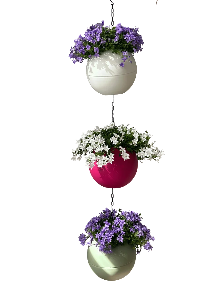 Globee Pink