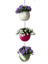 Globee Pink