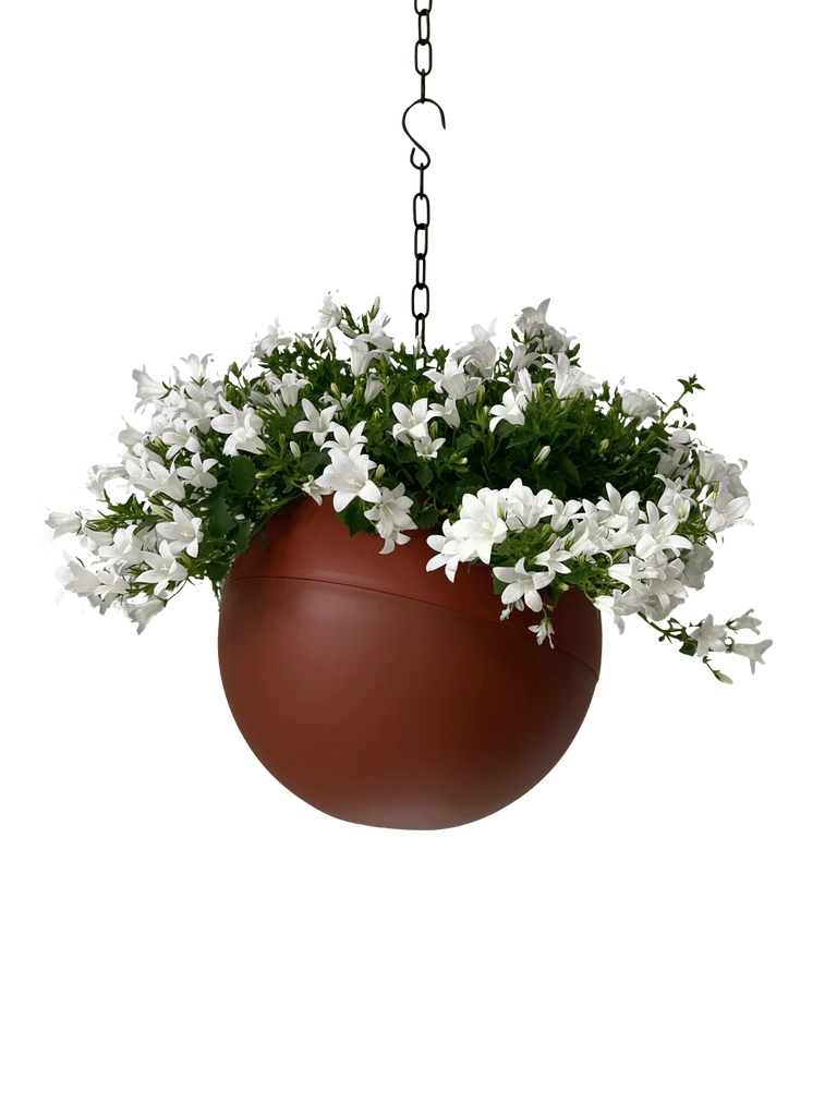 Globee Terracotta