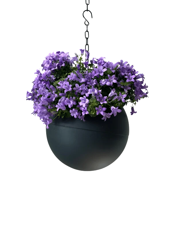 Globee Antraciet