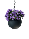 Globee Antraciet