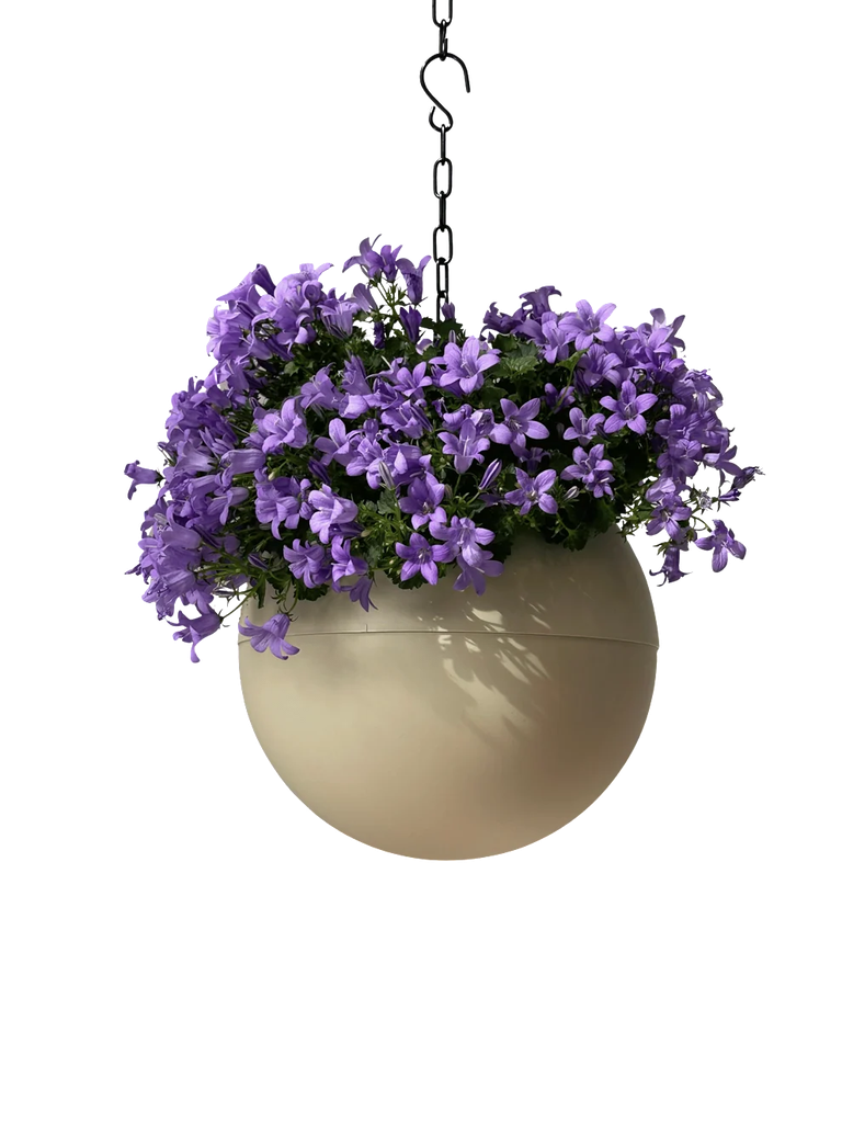 Globee Sand