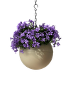 Globee Sand