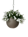 Globee Taupe