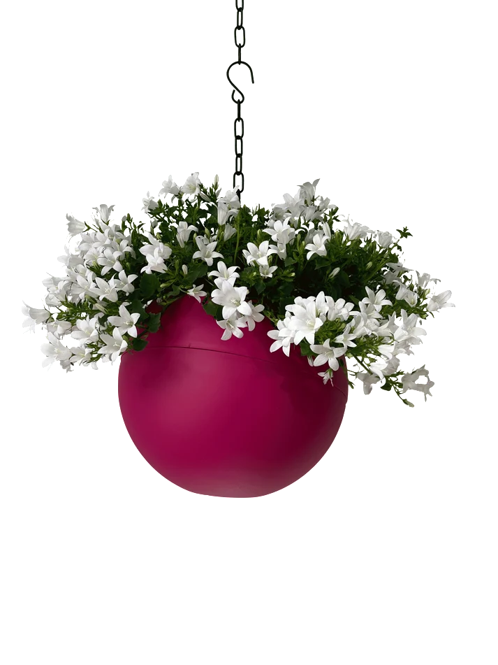 Globee Pink