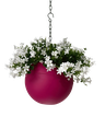 Globee Pink