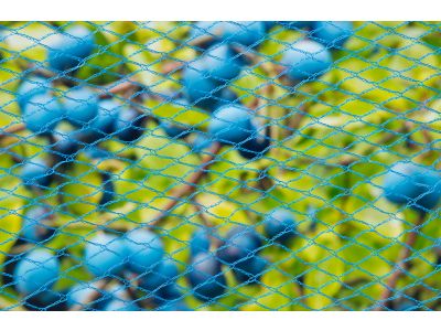 [4804264] Tuinnet nano maas 8x8mm 5x4 meter blauw 22 gram