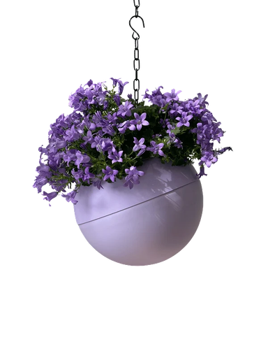 [1054] Globee Lilac