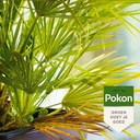 Pokon Hardnekkige Insecten Conc.175ml