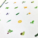 De Makkelijke moestuin 2.0 Boek