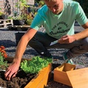 Makkelijke moestuin Zadendoos