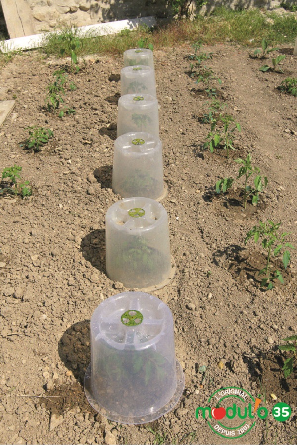 Plantklok Modul’o 35