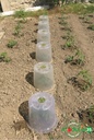 Plantklok Modul’o 35