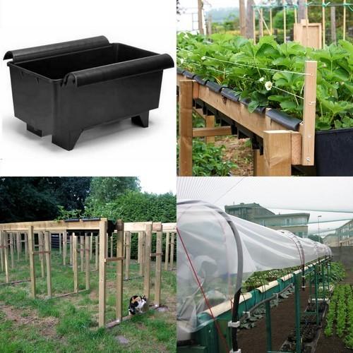Bato Aardbeienbak 11 LITER 40.2 X 32.3 X 22.6cm