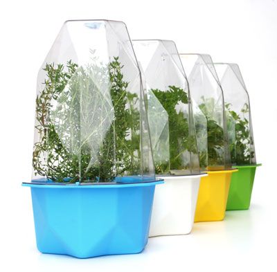 Xala Biosphere S Groen