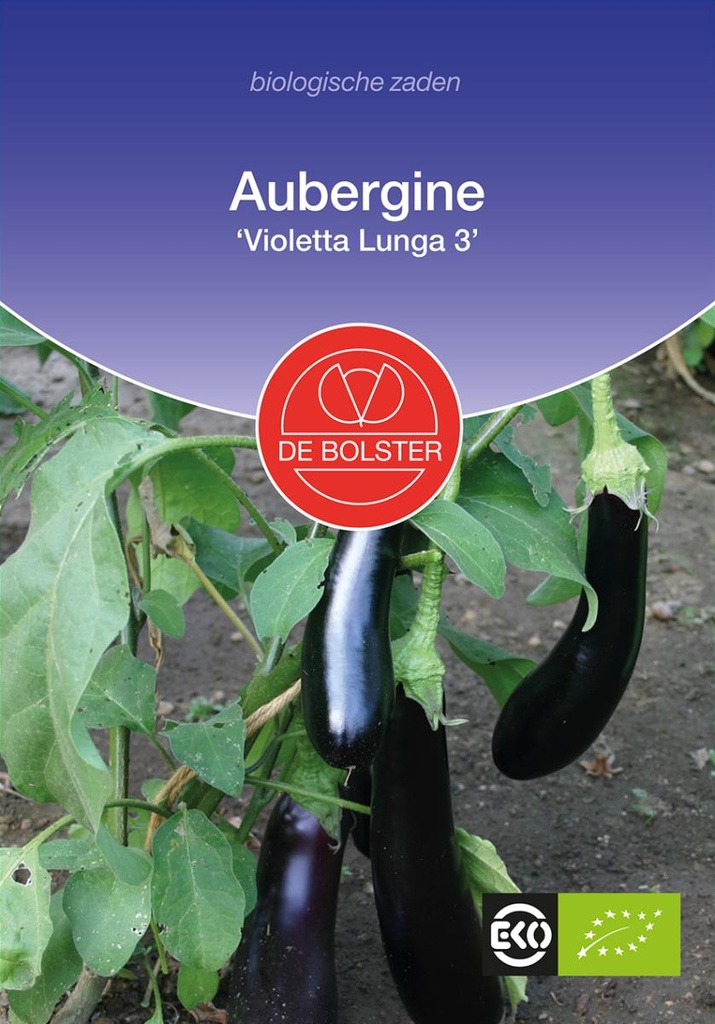 De Bolster Aubergine 'Violetta Lunga 3'