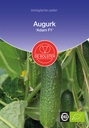 De bolster Augurk 'Adam F1'