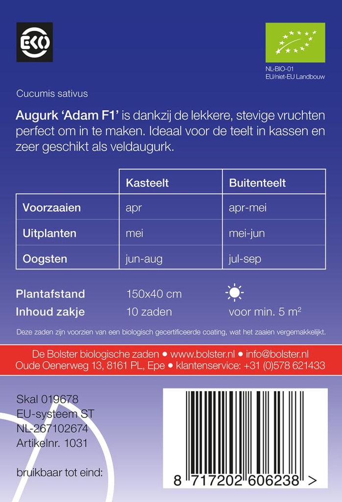 De bolster Augurk 'Adam F1'