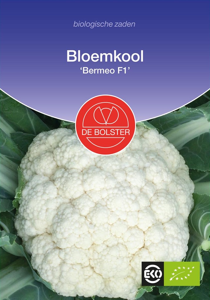 De Bolster Bloemkool 'Bermeo F1'