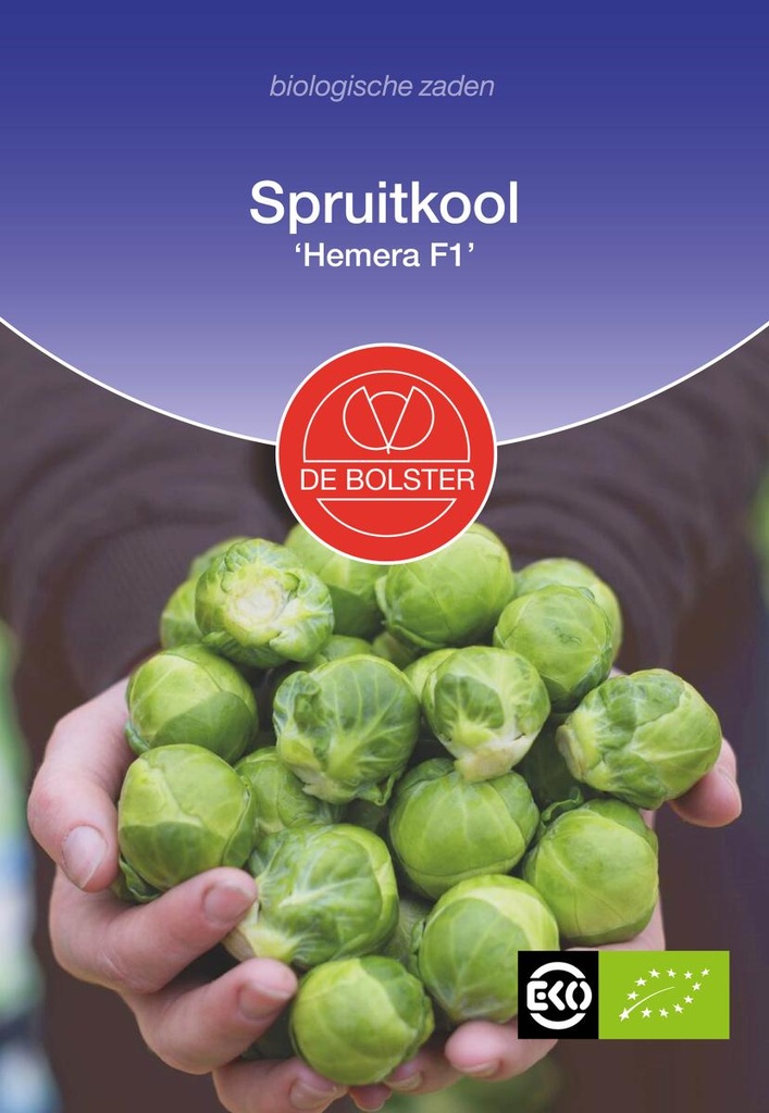 De Bolster Spruitkool ‘Hemera F1’
