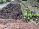 Bio-Kultura Schapenwol per meter