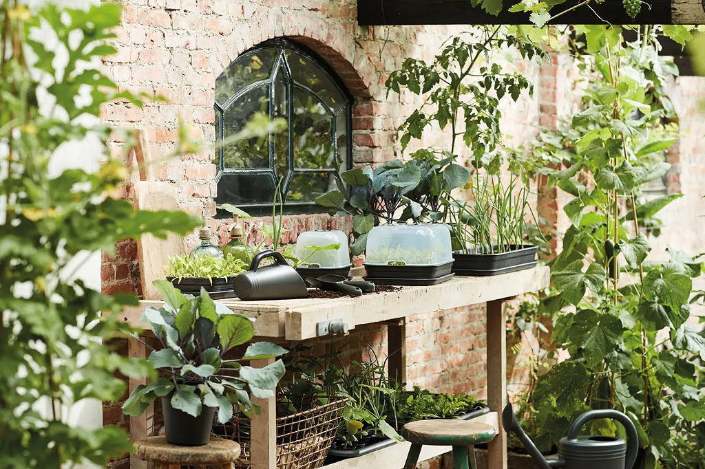 Elho Green Basics Kweektr.schotel S living black