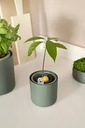 Elho Amazing avocado pot blad groen