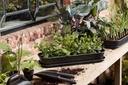 Elho Green basics Kweektray L in zwart
