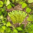 Biogroei Cucu-care 25 sachets - against thrips
