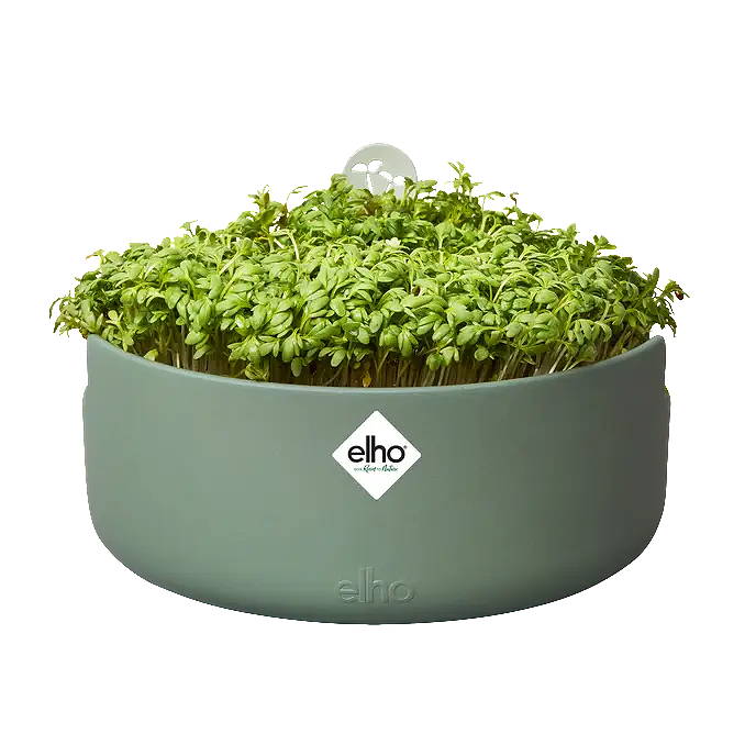 Elho Magic microgreens blad groen