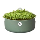 Elho Magic microgreens blad groen