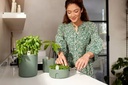Elho Magic microgreens blad groen