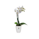 Elho Brussels orchidee hoog 12,5 cm wit