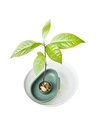 Elho Amazing avocado floater blad groen