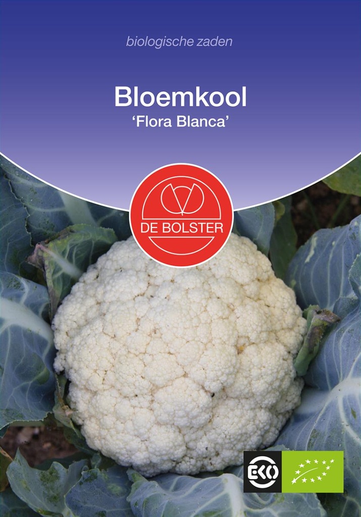 De Bolster Bloemkool 'Flora Blanca'
