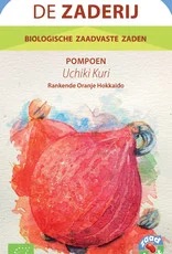 De zaderij Pompoen Uchiki Kuri