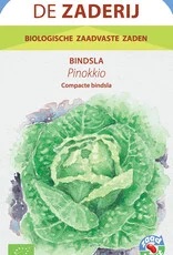 De Zaderij Bindsla Pinokkio