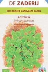 De Zaderij Winterpostelein